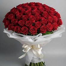 Букет 101 Красная роза Блэк Мэджик в Дмитрове