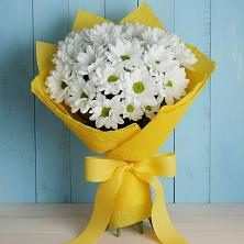 Букет цветов из:  Хризантемы в Дмитрове