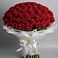 Букет 101 Красная роза Блэк Мэджик в Дмитрове