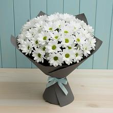 Букет цветов из:  Хризантемы в Дмитрове