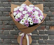 Букет цветов из:  Хризантемы в Дмитрове