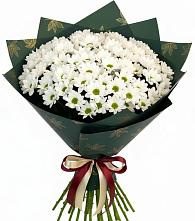 Букет цветов из:  Хризантемы #REPLACE_PRED# Дмитрове