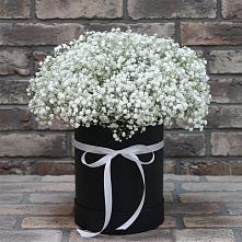 Цветочная композиция из Гипсофила в шляпной коробке в Дмитрове