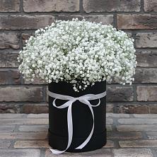 Цветочная композиция из Гипсофила в шляпной коробке в Дмитрове