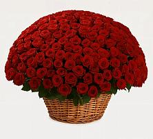 Премиум букет из: Розы в Дмитрове